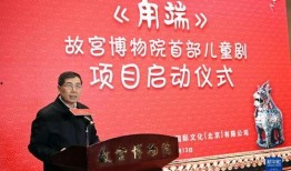 故宫院长爆料新闻视频大全,新闻视频大全背后的精彩瞬间