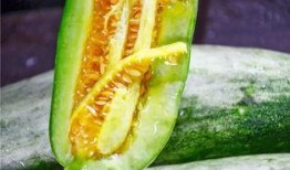 全网都在吃陇南网红的瓜,陇南网红瓜，揭秘背后的故事与真相